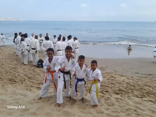 niños karatekas felices en entrenamiento playero