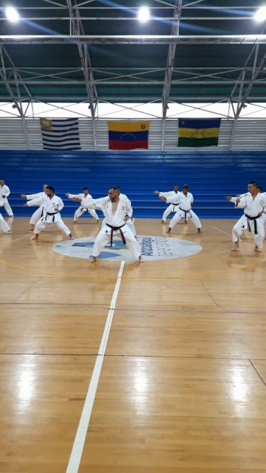 Seminario de Karate con cinturones negros ejecutando tecnicas
